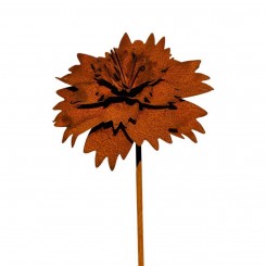 anjer