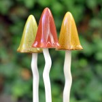 Paddenstoelen in keramiek  - ZOMER