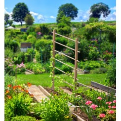 plantensteun_hout
