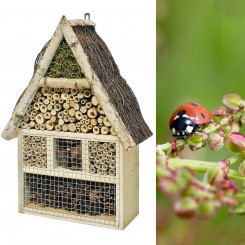 Insectenhuis in dennenhout en berk
