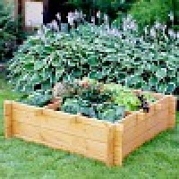 moestuinbak in rastervorm
