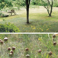 Opvangnet voor fruit, olijven van 4 x 6 m