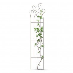plantensteun_krulmotief