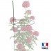 plantensteun-meegroeiend 180 cm