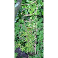 Plantensteun met ronde verende spiraal - 10 cm diameter