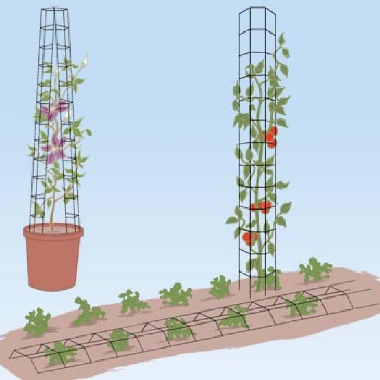 Universele tomatensteun - TWEE stuks