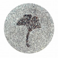 tuintegel-graniet-ginko