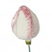 tulp_keramiek