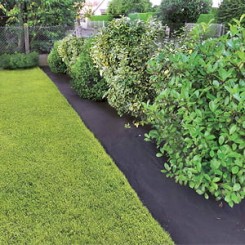 vilt-aanplantingen