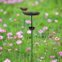 vogelschaaltje